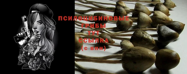 apvp Корсаков