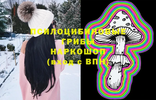 apvp Корсаков