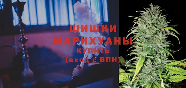 твердый Костерёво