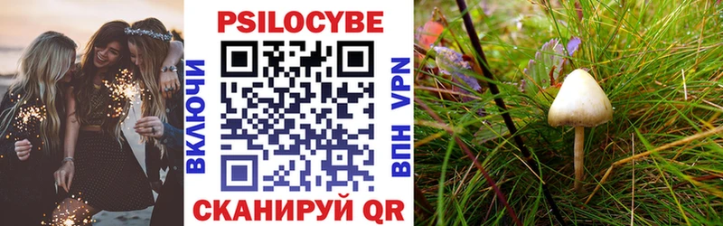 блэк спрут как войти  Артём  Галлюциногенные грибы GOLDEN TEACHER 